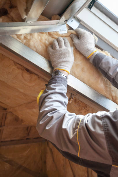 Insulation Repair Services in Fountain, CO