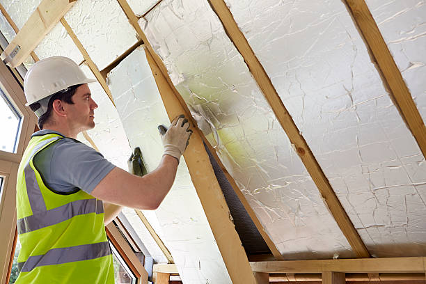 Best Insulation Inspection Services  in Fountain, CO