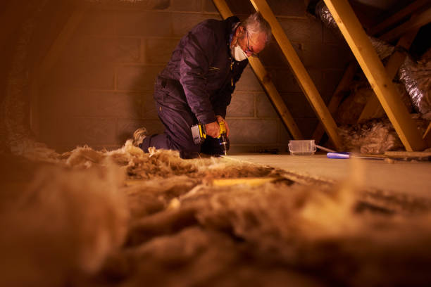 Best Commercial Insulation Contractor  in Fountain, CO