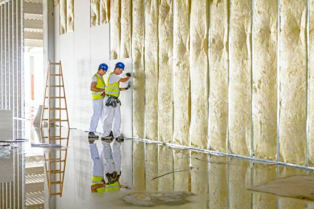 Best Soundproof Insulation Installation  in Fountain, CO